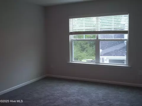 209 Balustrade Way, Hampstead, NC 28443 photo 28