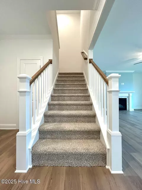 Entry Way - 802 Tupelo Tree Dr, Hubert, NC 28539 photo 7 of 11