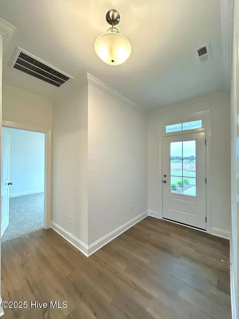 Entry Way - 802 Tupelo Tree Dr, Hubert, NC 28539 photo 4 of 11