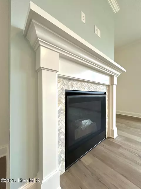 Other - 802 Tupelo Tree Dr, Hubert, NC 28539 photo 4 of 13