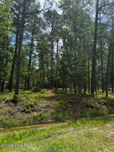 16 17 Cherry Rd, Boiling Spring Lakes, NC 28461 photo 2