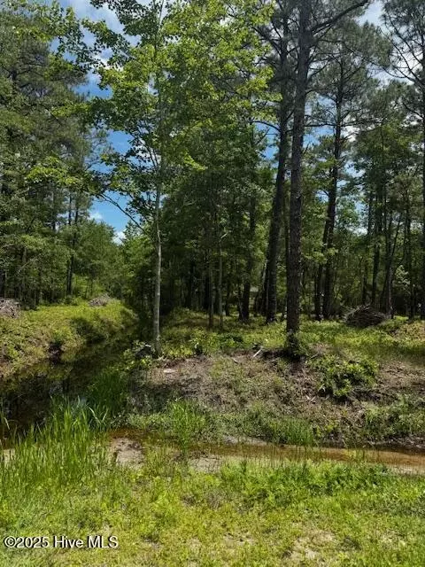16 17 Cherry Rd, Boiling Spring Lakes, NC 28461