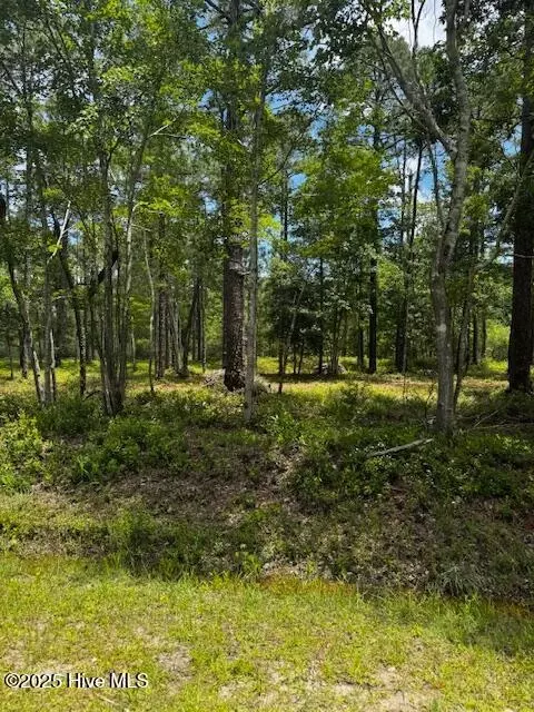 16 17 Cherry Rd, Boiling Spring Lakes, NC 28461 photo 4