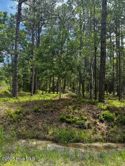 16 17 Cherry Rd, Boiling Spring Lakes, NC 28461 photo 3
