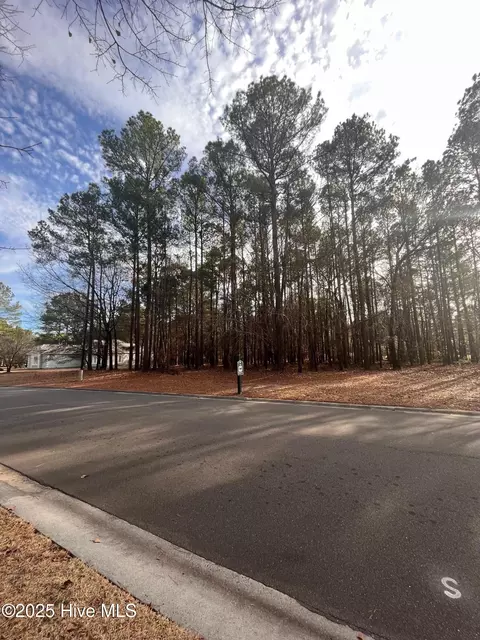 264 Red Fox Run Dr, Wallace, NC 28466 photo 2