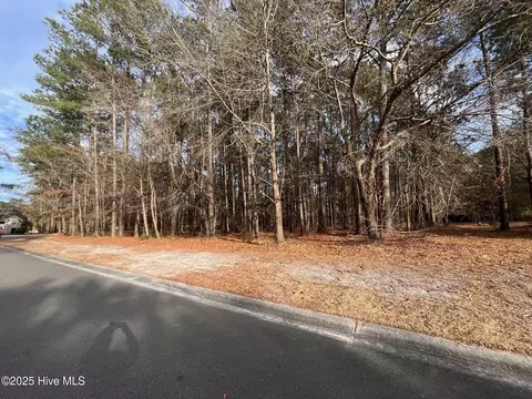 264 Red Fox Run Dr, Wallace, NC 28466 photo 5