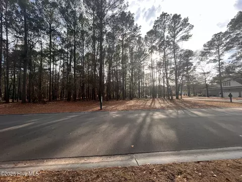 264 Red Fox Run Dr, Wallace, NC 28466 photo 3