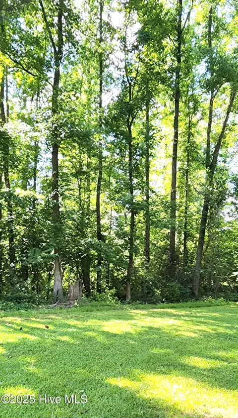 889 Whitley Rd, Middlesex, NC 27557 photo 30