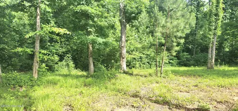 889 Whitley Rd, Middlesex, NC 27557 photo 26