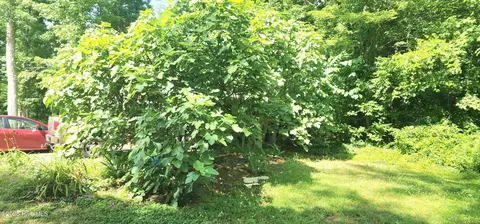 889 Whitley Rd, Middlesex, NC 27557 photo 29