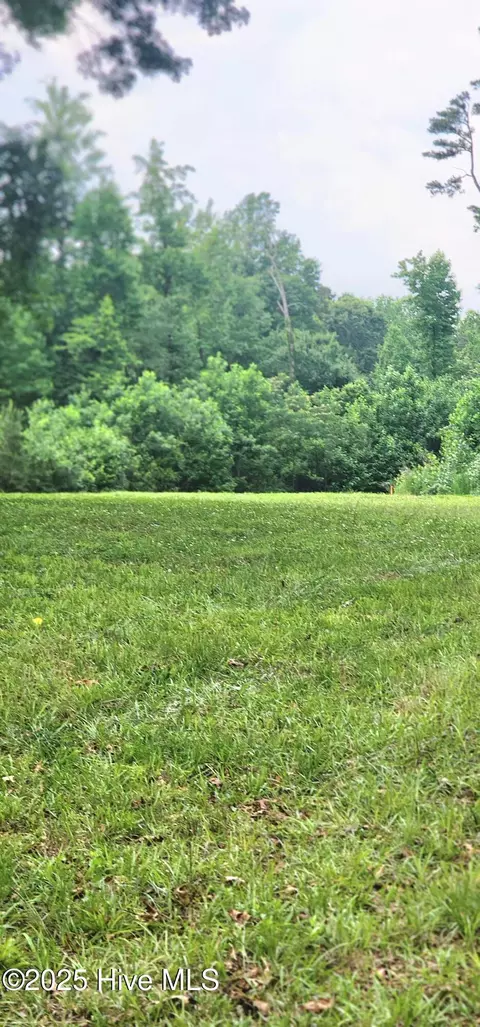 889 Whitley Rd, Middlesex, NC 27557 photo 39