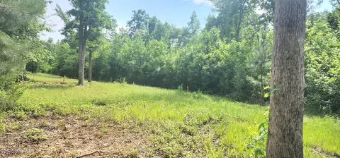 889 Whitley Rd, Middlesex, NC 27557 photo 24