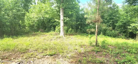 889 Whitley Rd, Middlesex, NC 27557 photo 25
