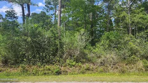 lot143 Elm Rd, Boiling Spring Lakes, NC 28461