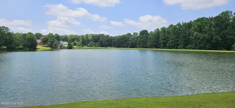303 E Arrowhead Dr, Clinton, NC 28328 photo 4