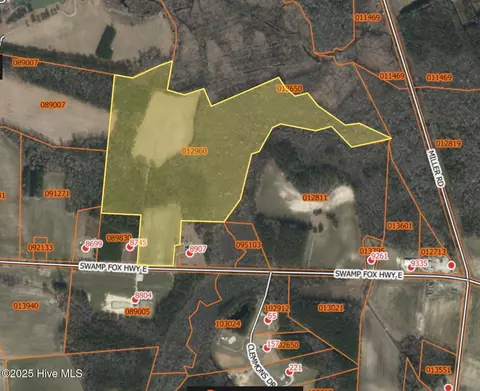 8745 Swamp Fox Highway East, Tabor City, NC 28463