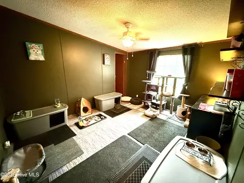 3682 Titan Roberts Rd, Erwin, NC 28339 photo 21