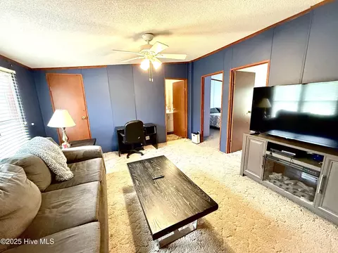 3682 Titan Roberts Rd, Erwin, NC 28339 photo 14