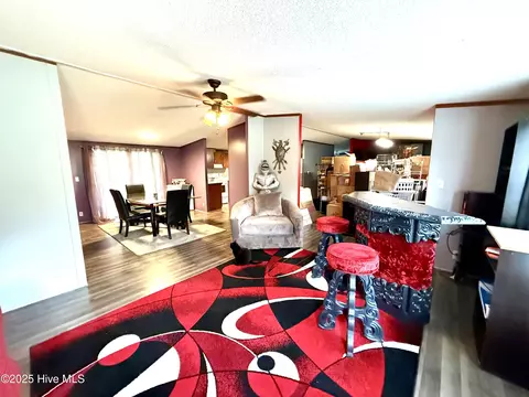 3682 Titan Roberts Rd, Erwin, NC 28339 photo 8