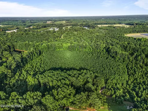 265 Old Eason Rd, Zebulon, NC 27597 photo 16
