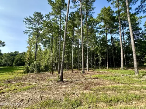 265 Old Eason Rd, Zebulon, NC 27597 photo 8