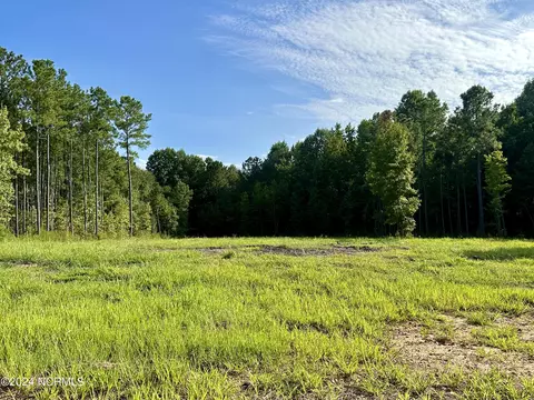 265 Old Eason Rd, Zebulon, NC 27597 photo 9