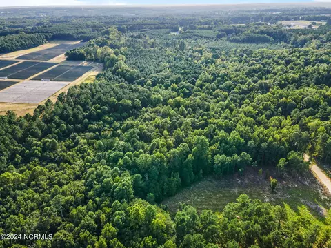265 Old Eason Rd, Zebulon, NC 27597 photo 11