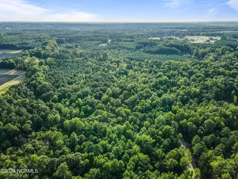265 Old Eason Rd, Zebulon, NC 27597 photo 14