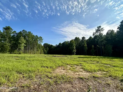 265 Old Eason Rd, Zebulon, NC 27597 photo 5