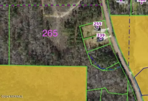 265 Old Eason Rd, Zebulon, NC 27597 photo 7