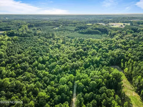 265 Old Eason Rd, Zebulon, NC 27597 photo 13