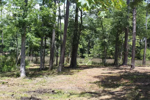 Other - 3404 Eagle Crest Dr SW, Supply, NC 28462 photo 30 of 36
