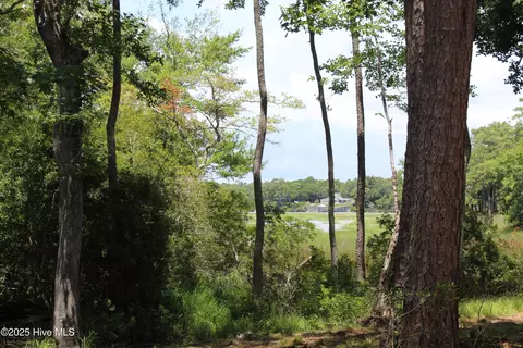 View/Area - 3404 Eagle Crest Dr SW, Supply, NC 28462 photo 12 of 21