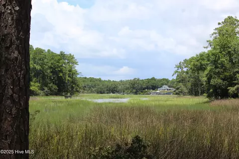 View/Area - 3404 Eagle Crest Dr SW, Supply, NC 28462 photo 10 of 21