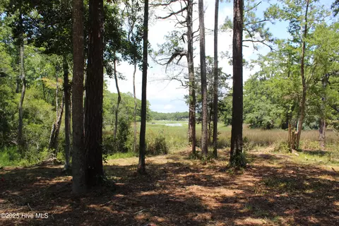 Other - 3404 Eagle Crest Dr SW, Supply, NC 28462 photo 33 of 36