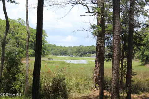 View/Area - 3404 Eagle Crest Dr SW, Supply, NC 28462 photo 11 of 21