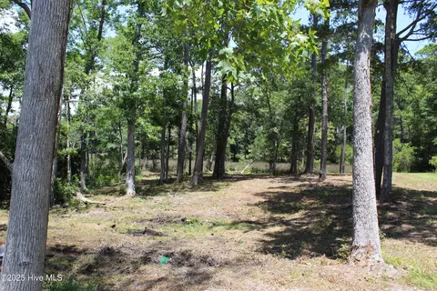 Other - 3404 Eagle Crest Dr SW, Supply, NC 28462 photo 32 of 36