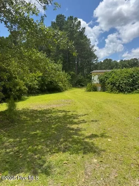 116 Oakleaf Dr, Hamlet, NC 28345 photo 3