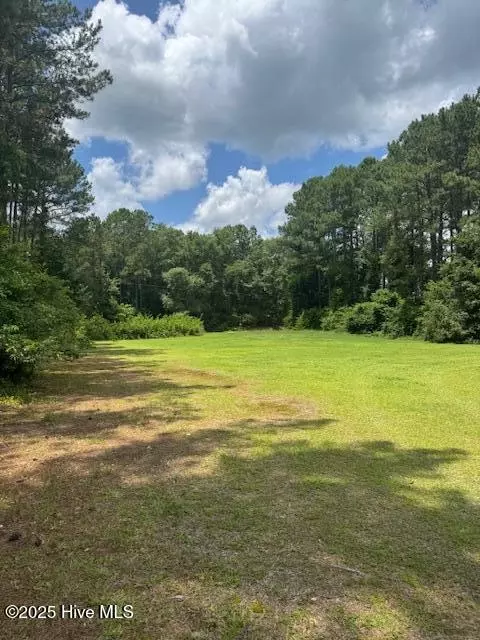 116 Oakleaf Dr, Hamlet, NC 28345 photo 7