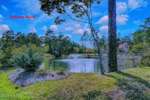 112 Killdeer Dr, Hampstead, NC 28443 photo 88
