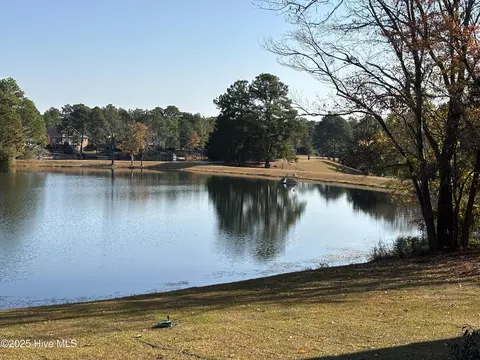 View/Area - 1040 Burning Tree Rd, Pinehurst, NC 28374 photo 2 of 3