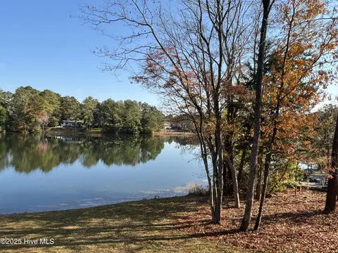 View/Area - 1040 Burning Tree Rd, Pinehurst, NC 28374 photo 3 of 3