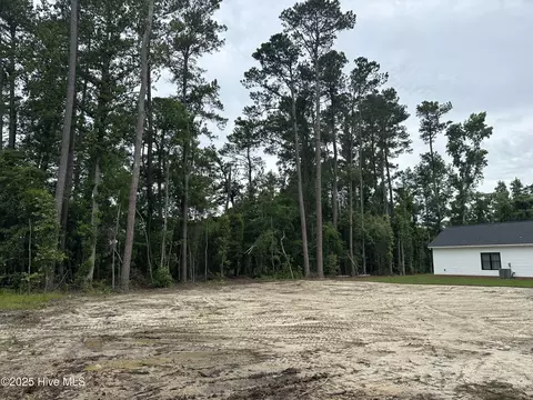 603 N Timberly Ln, Burgaw, NC 28425