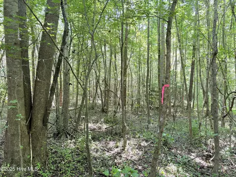 lot22 Buckhorn Church Rd, Como, NC 27818