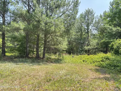 lot23 Buckhorn Church Rd, Como, NC 27818