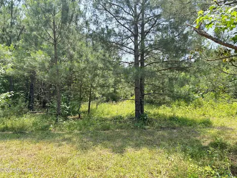 lot24 Buckhorn Church Rd, Como, NC 27818