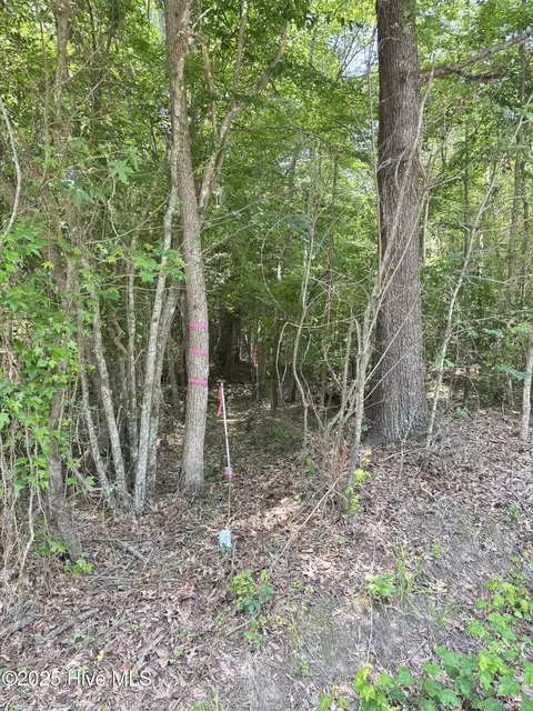 lot25 Buckhorn Church Rd, Como, NC 27818