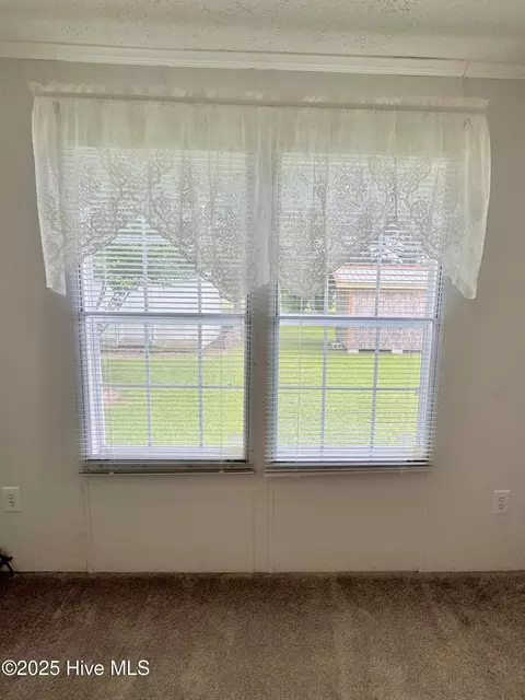 1803 Liddell Rd, Deep Run, NC 28525 photo 40