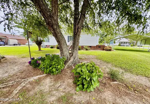1803 Liddell Rd, Deep Run, NC 28525 photo 60
