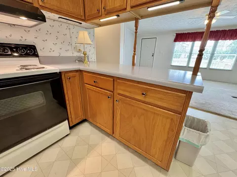 1803 Liddell Rd, Deep Run, NC 28525 photo 27